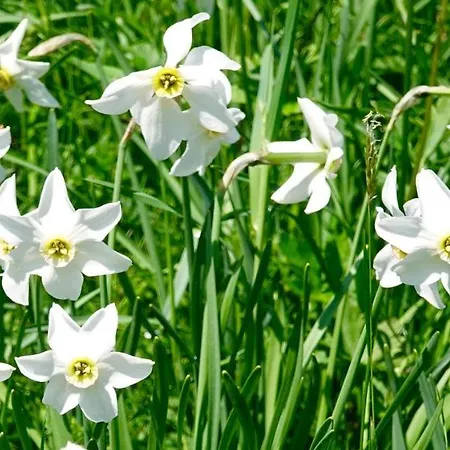 Kirchschlager Appartamento Bad Aussee