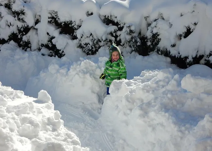 شقة Kirchschlager *