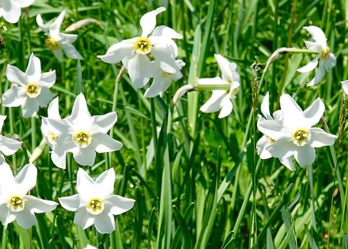 Kirchschlager Apartment Bad Aussee