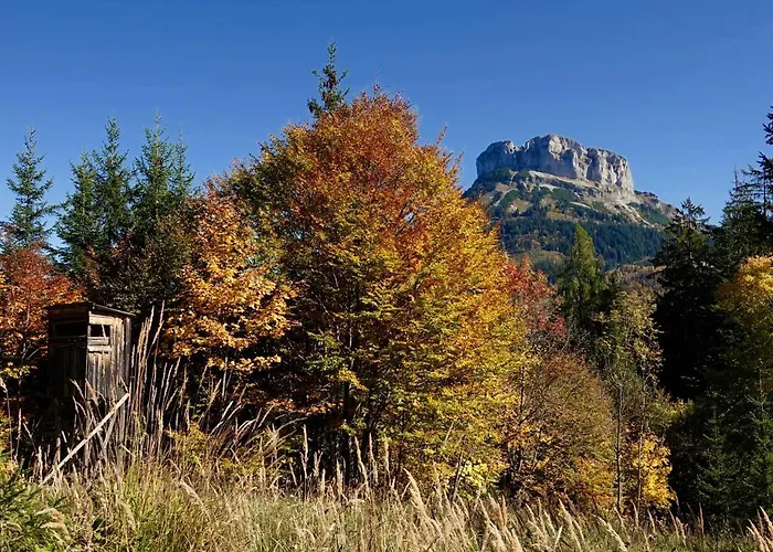 Kirchschlager * باد اوسي