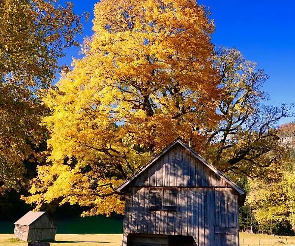 Apartment Kirchschlager Bad Aussee